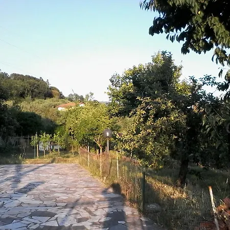 Paradiso Vila *